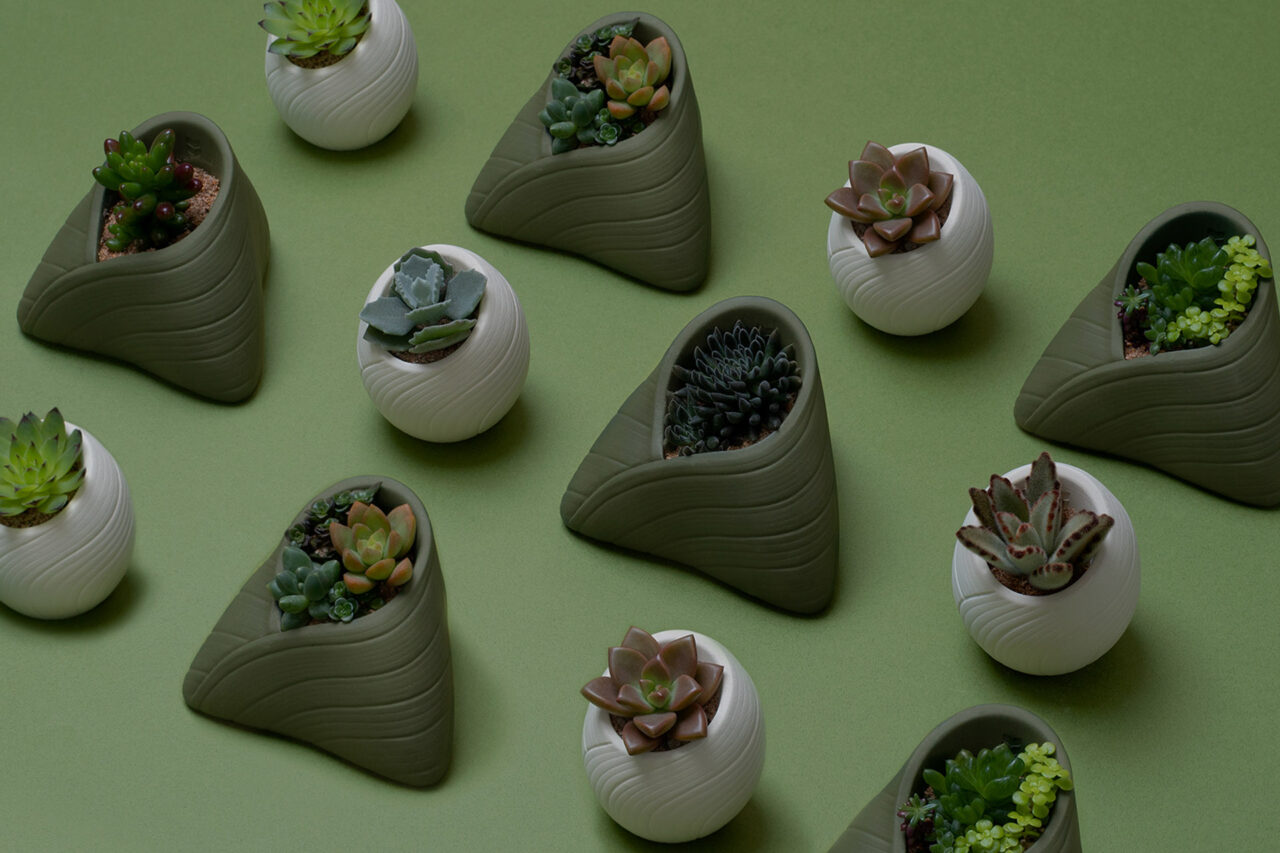 新聞媒體報導 2002端午雙層植品禮盒＿多肉植物與蜂蜜蛋糕＿有肉SUCCULAND＿南蠻堂加壽蛋糕13