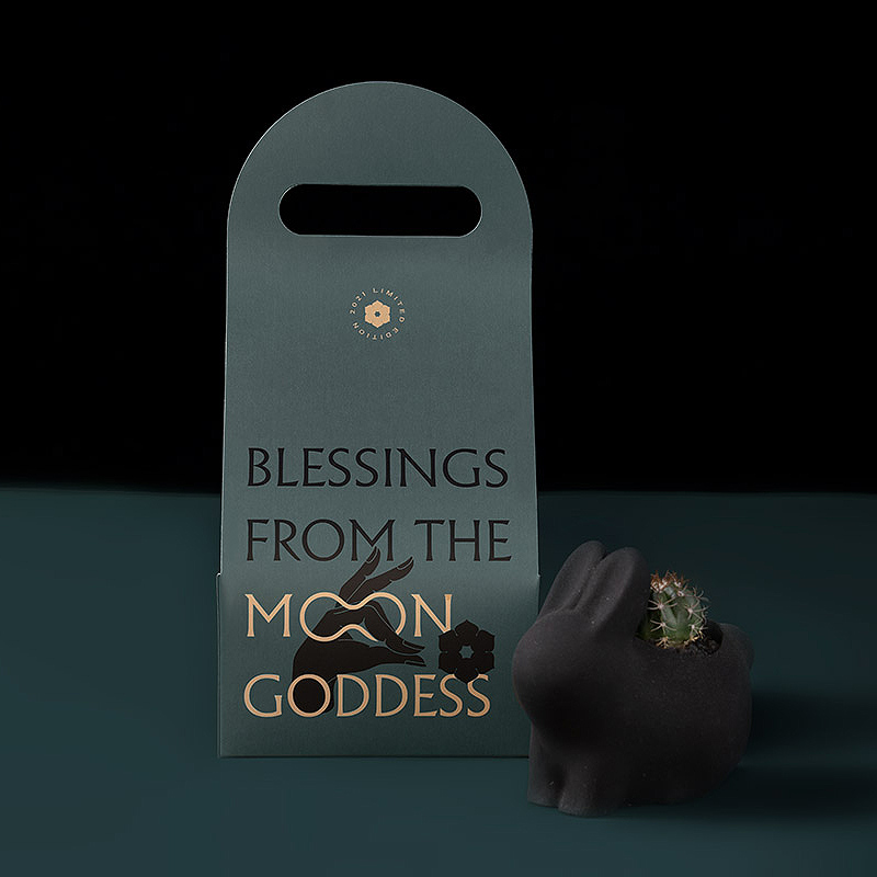 2021中秋節禮盒＿有肉多肉植物＿李亭香月餅＿製所設計4