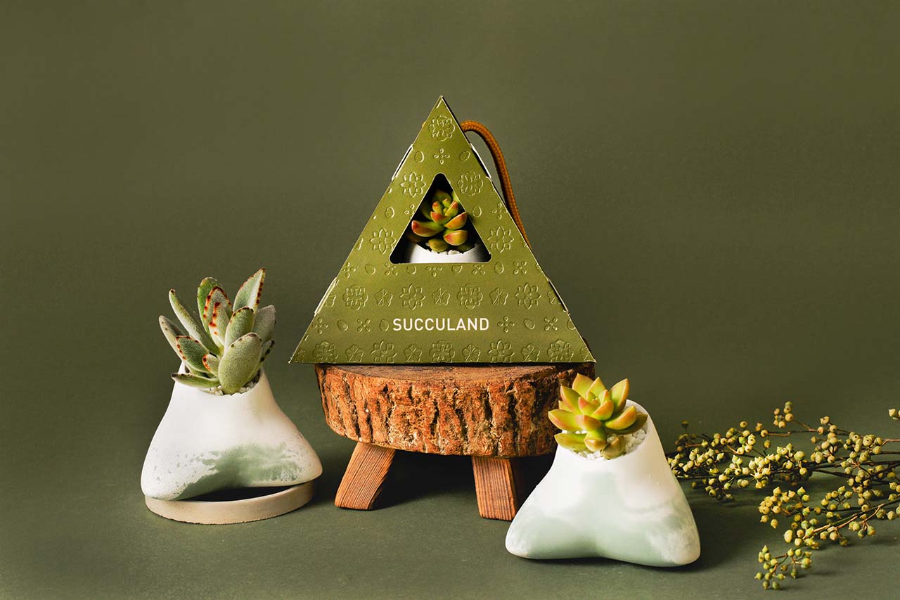 2021 年端午植物禮盒 2021 有肉的端午節植物係禮盒＿台灣設計製造1