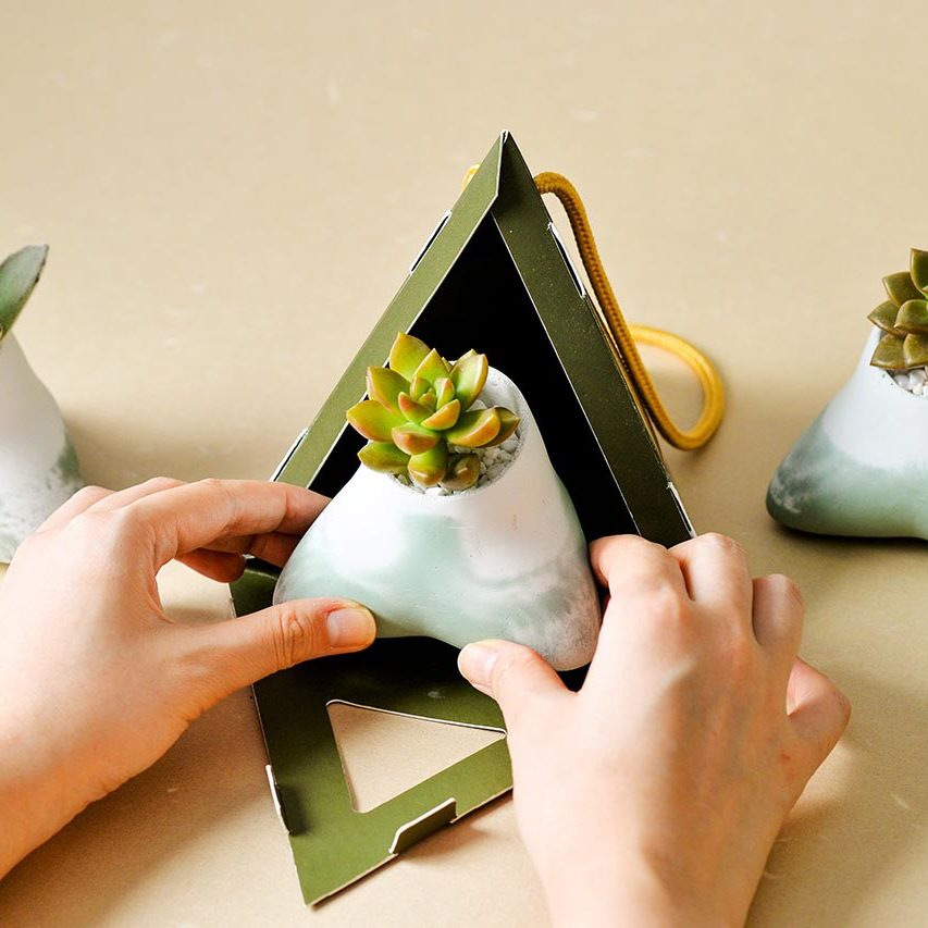 2021 有肉的端午節植物係禮盒＿台灣設計製造12