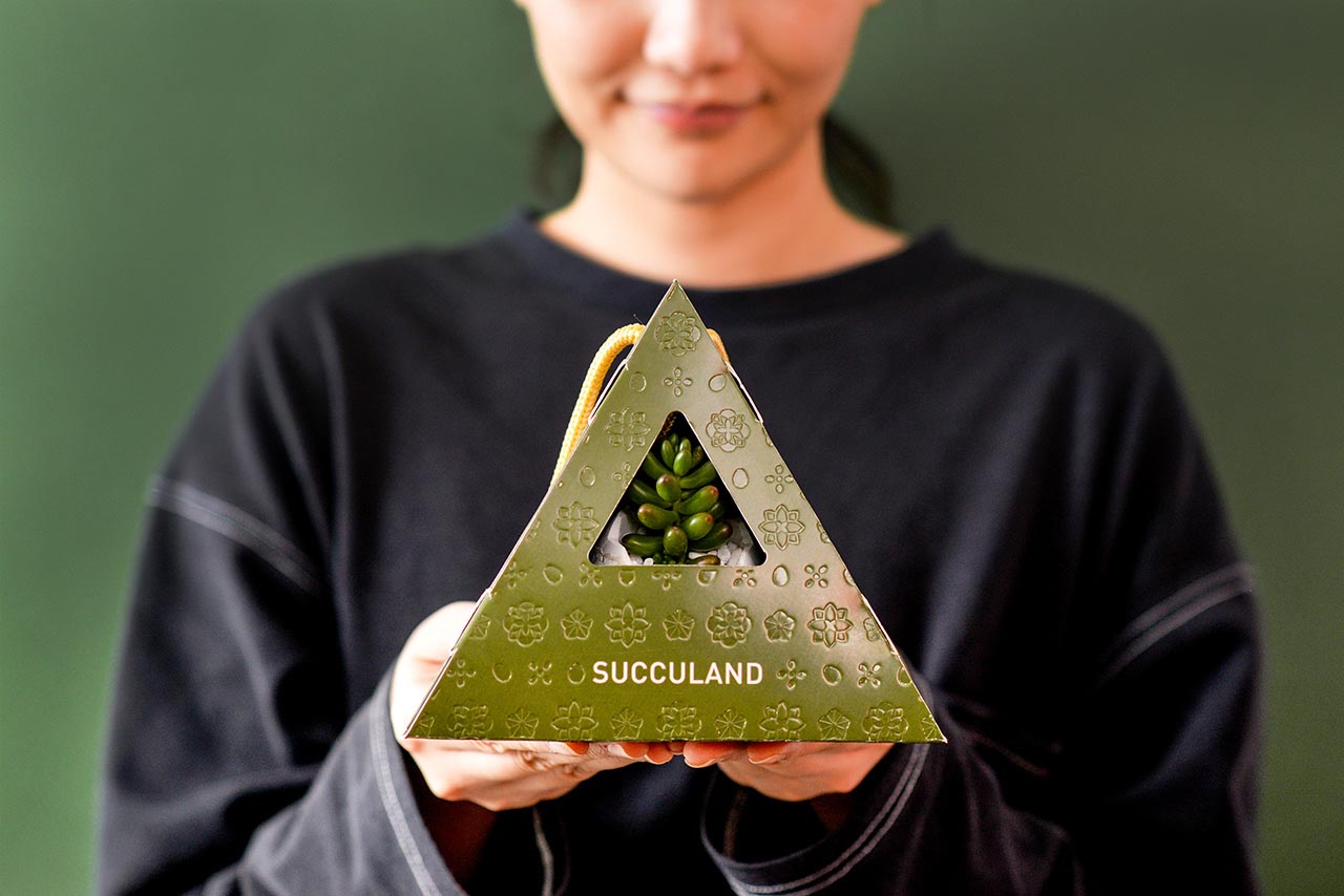 2021 有肉的端午節植物係禮盒＿台灣設計製造14