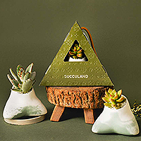 2021 有肉的端午節植物係禮盒＿台灣設計製造200x200