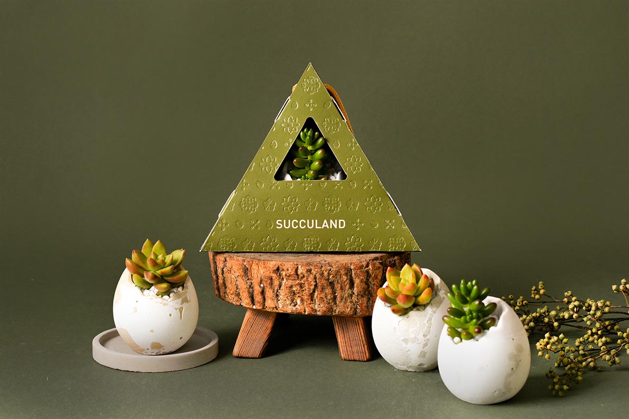 2021 年端午植物禮盒 2021 有肉的端午節植物係禮盒＿台灣設計製造5