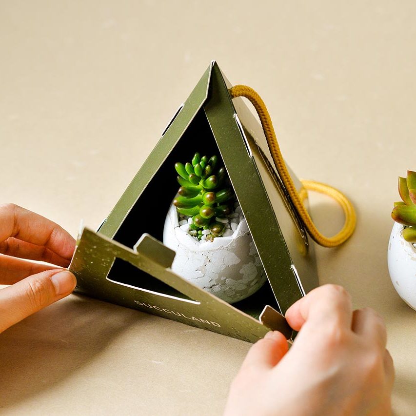 2021 有肉的端午節植物係禮盒＿台灣設計製造7