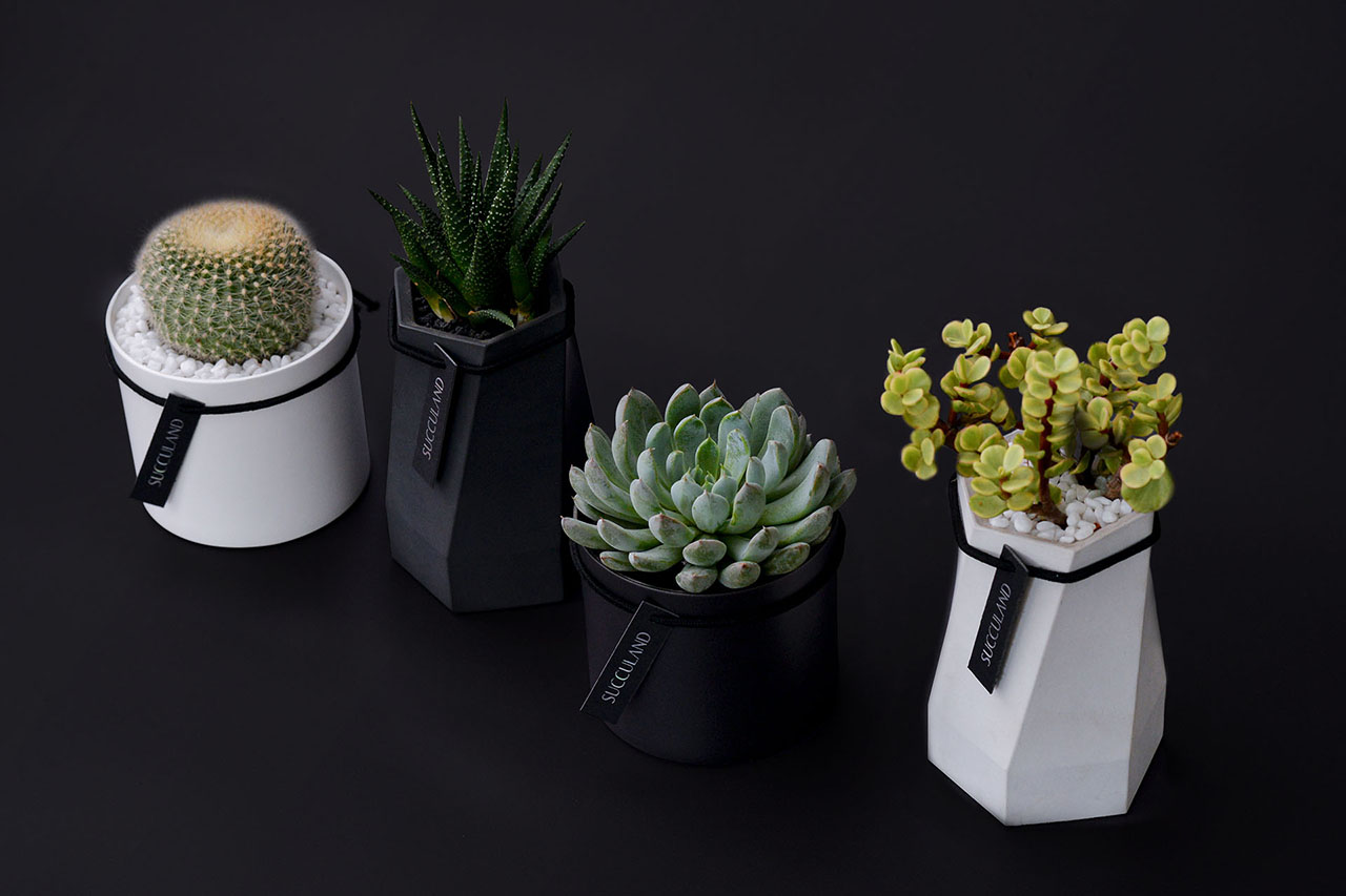 新聞媒體報導 2021 有肉的聖誕禮物全台配送到府10