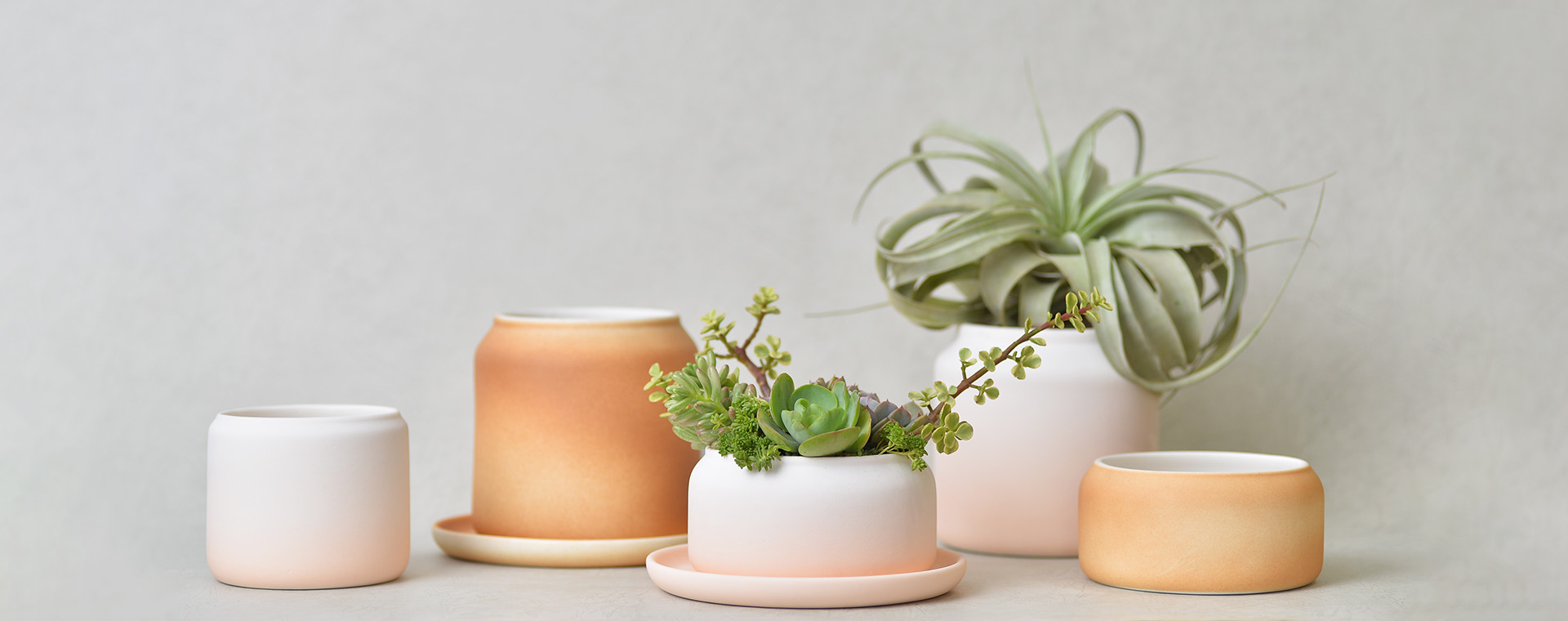 鳳梨盆栽的禮物感：台灣設計鳳梨盆 20211202 Of 之於 首圖