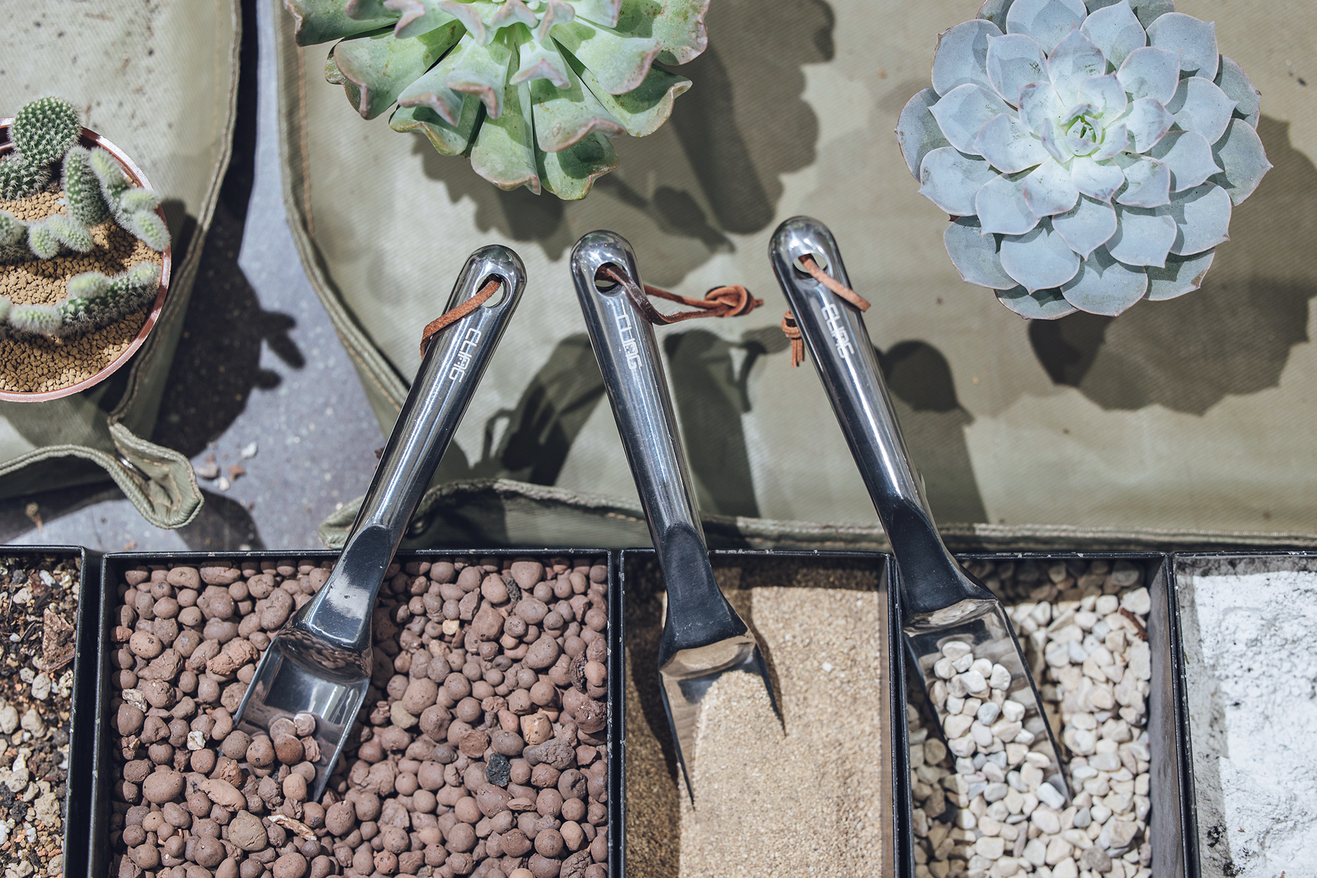 【完整教學】植物照顧終極指南 向黑手指說掰掰 2022 有肉滿額贈 植琢工具園藝鏟子5