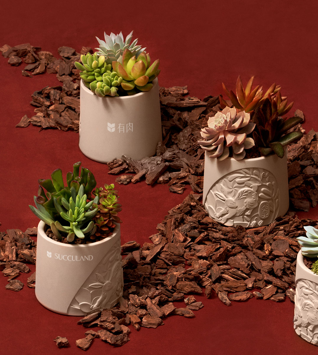 2023 春節禮盒「瑞獸挽香」介紹