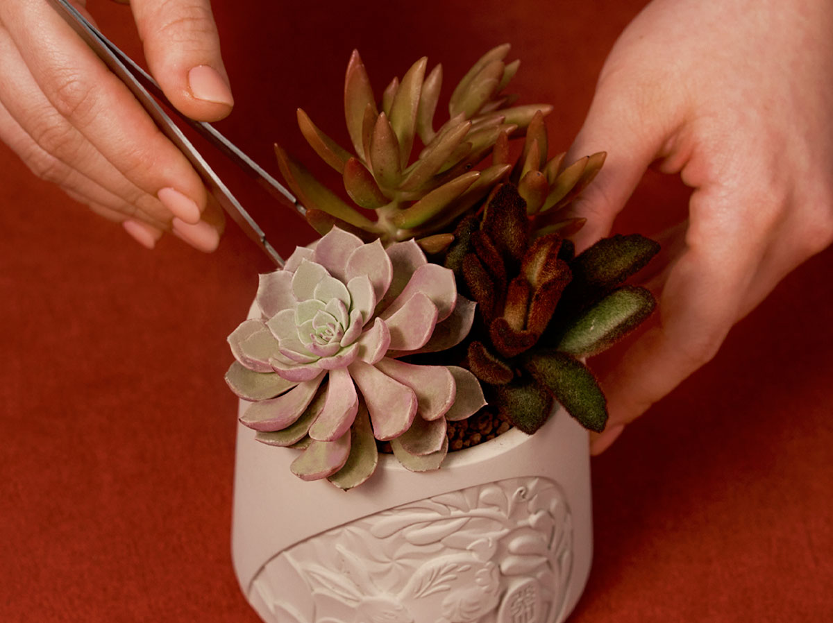 2023 春節禮盒「瑞獸挽香」介紹