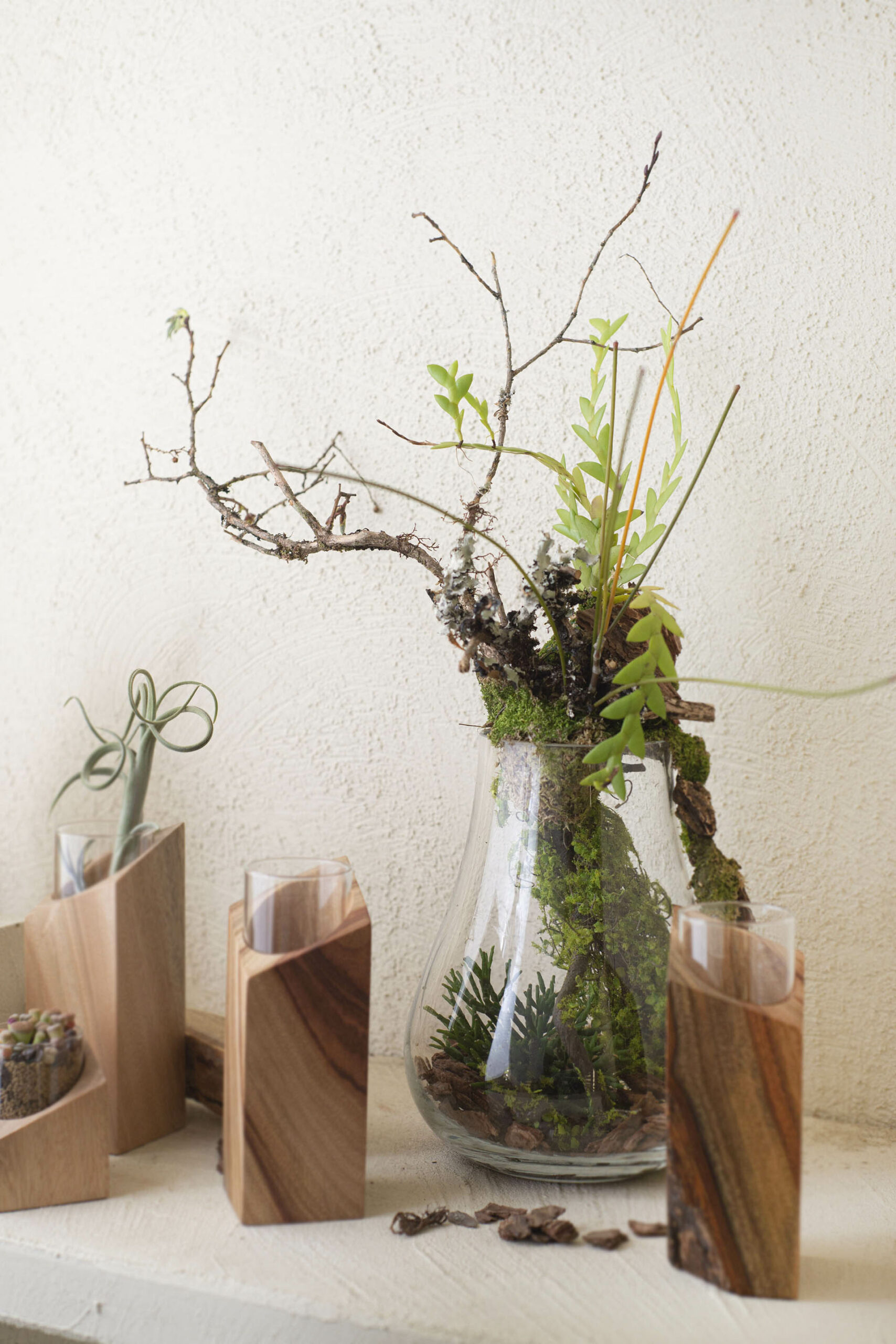 地球日種植活動