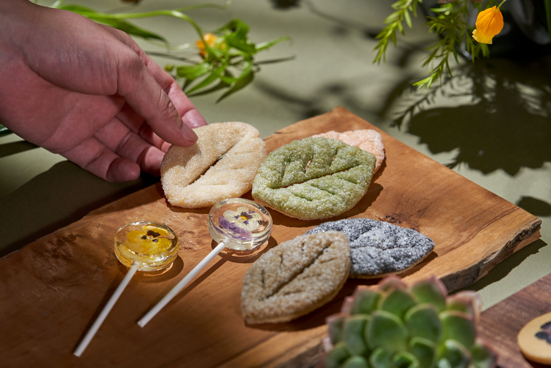 中秋過節也能感受永續自然！有肉 X 山木島，森林系中秋禮盒火熱預購中！ 2023 有肉中秋節聯名禮盒＿有餅乾有植物＿企業訂製7