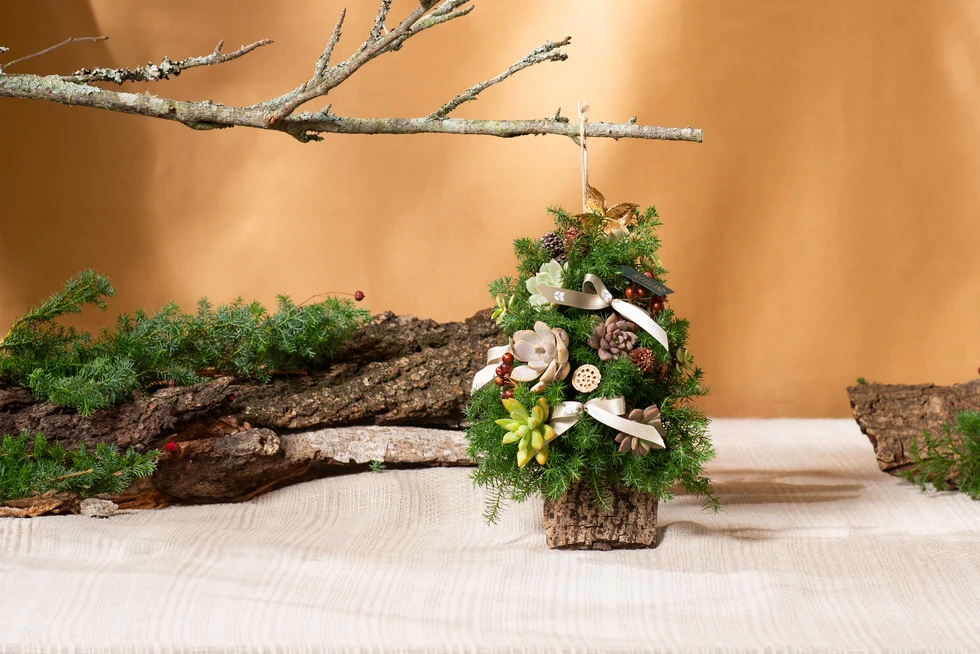 新聞媒體報導 2023121967151833