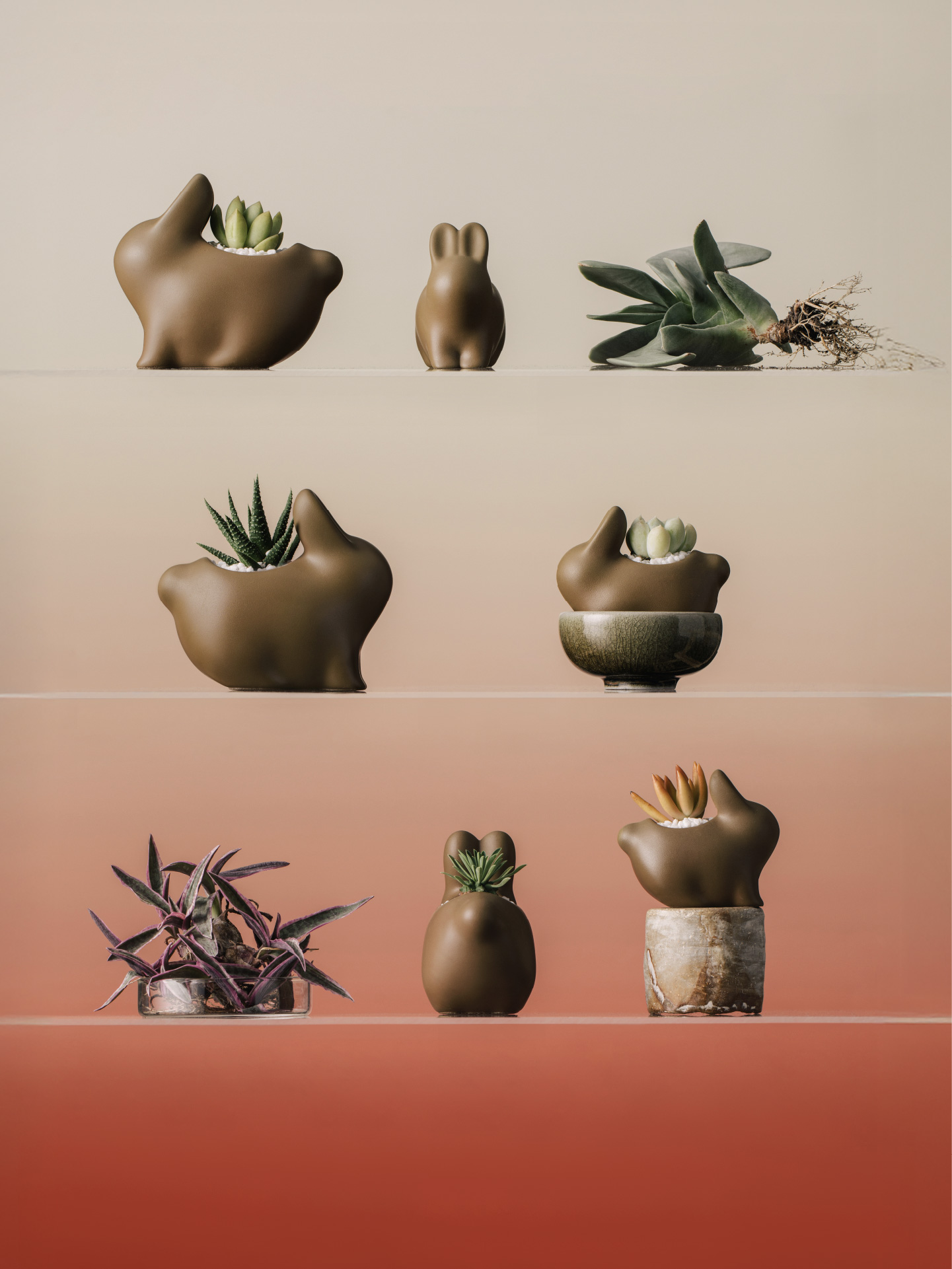 2025 中秋禮盒-茶月兔多角度