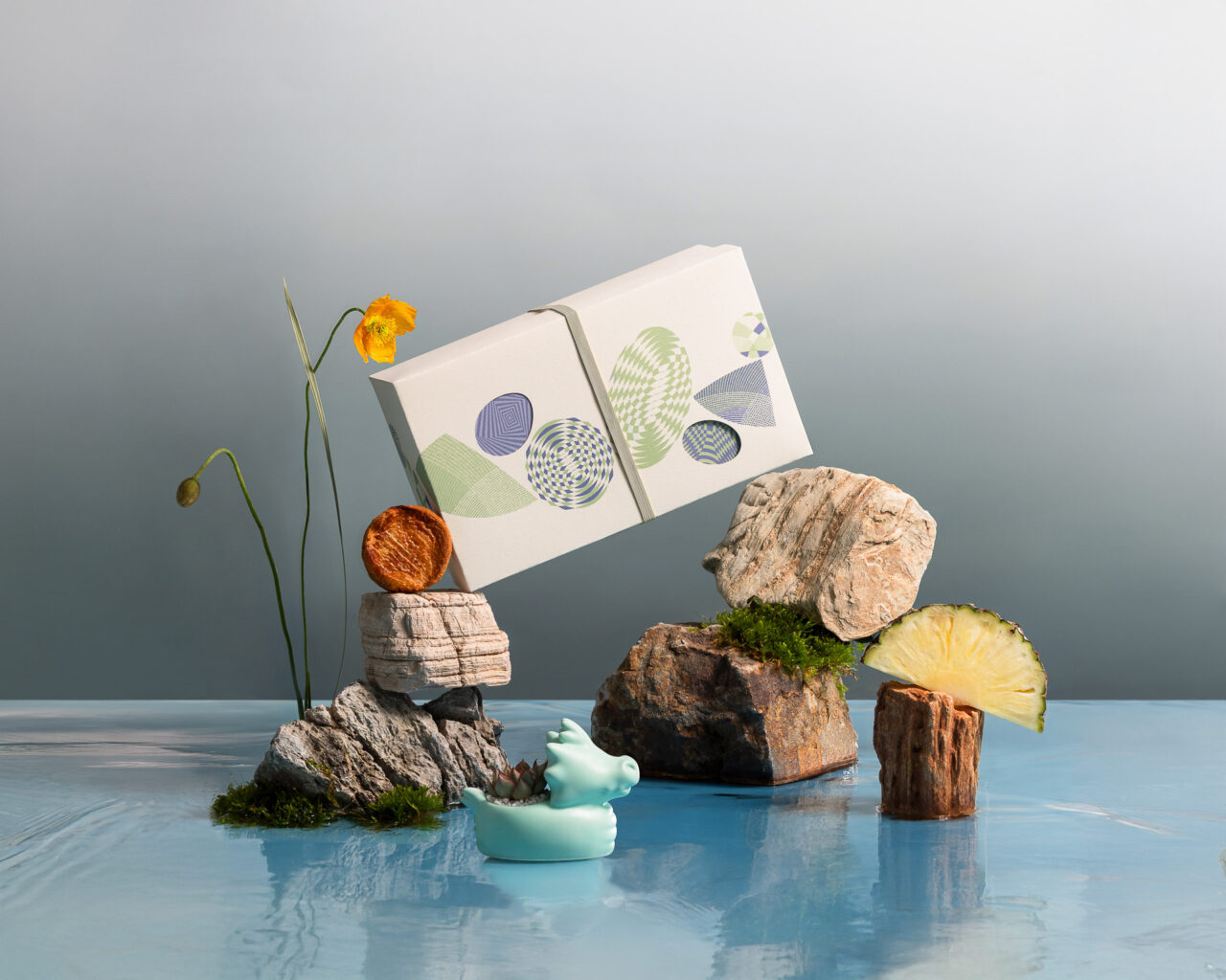 2025 端午節禮盒綠舟金運-有肉SUCCULAND-首圖