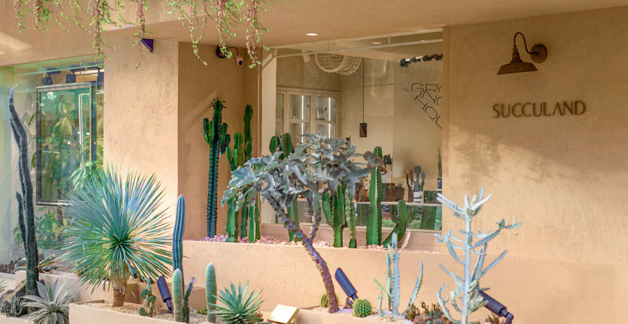 關於有肉 2025poke 09 1