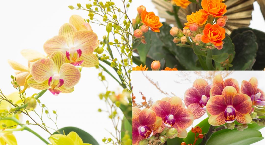 新聞媒體報導 240130 29431 1 Y6Cnm