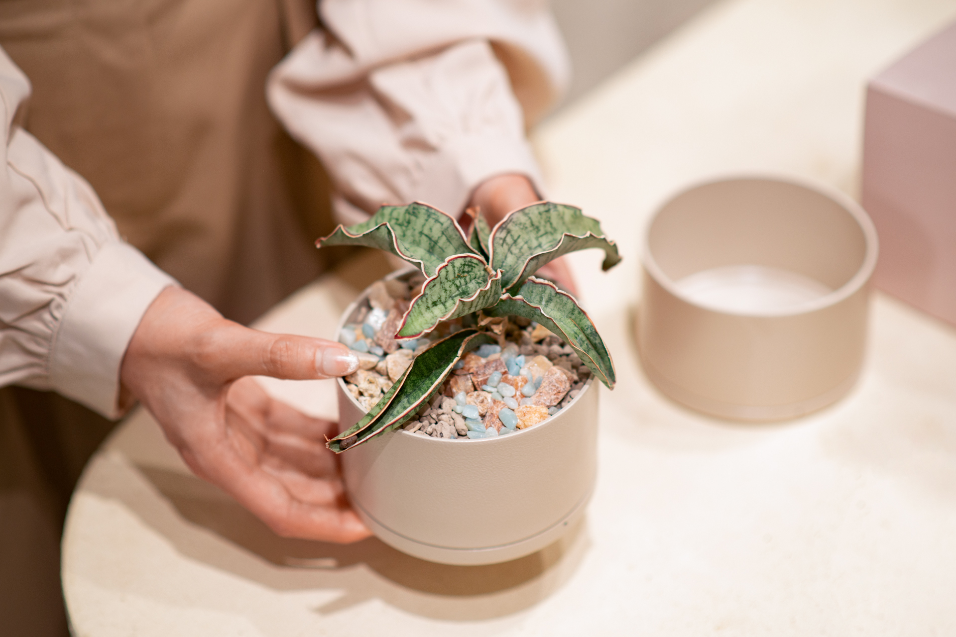 5 款細膩柔和的拿鐵色盆器，調和植物的中性色 5 款細膩柔和的拿鐵色盆器，調和植物的中性色1