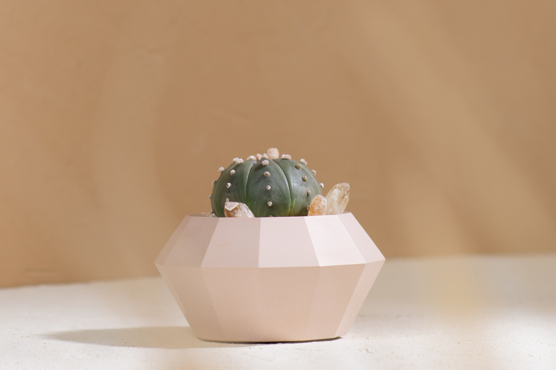 5 款細膩柔和的拿鐵色盆器，調和植物的中性色 5 款細膩柔和的拿鐵色盆器，調和植物的中性色5