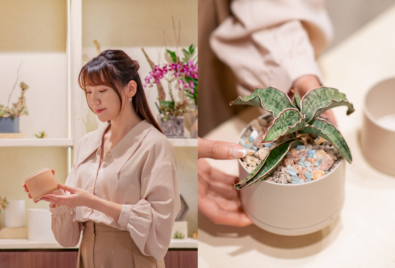 新聞媒體報導 5 款細膩柔和的拿鐵色盆器，調和植物的中性色7