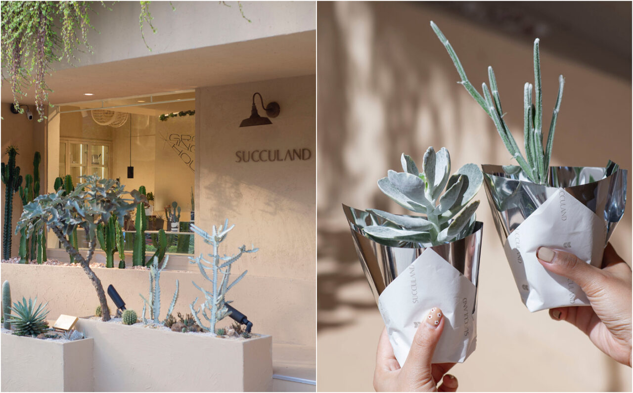 新聞媒體報導 6320221028203424