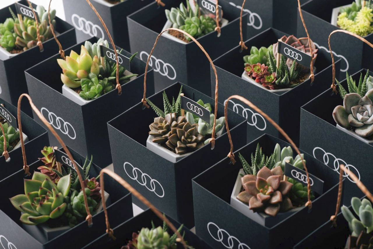 Go Green! 8 個企業禮品常見問題：交期、發票、價格一次全看懂 Audi 車商展間活動＿母親節的植栽活動2