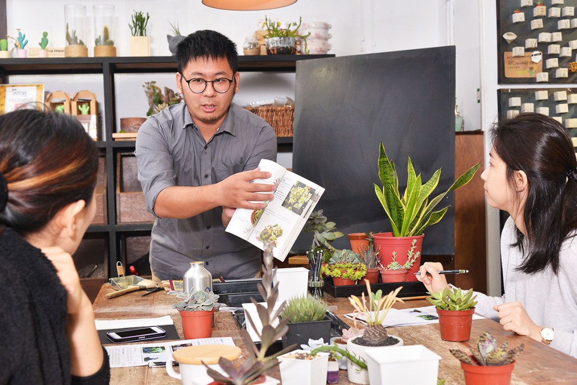 多肉Q&A：多肉植物正確澆水方式大公開 DSC 8247