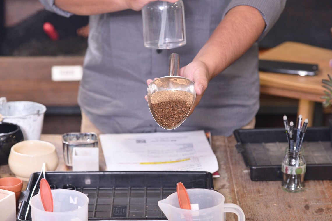 多肉Q&A：多肉植物正確澆水方式大公開 DSC 8322