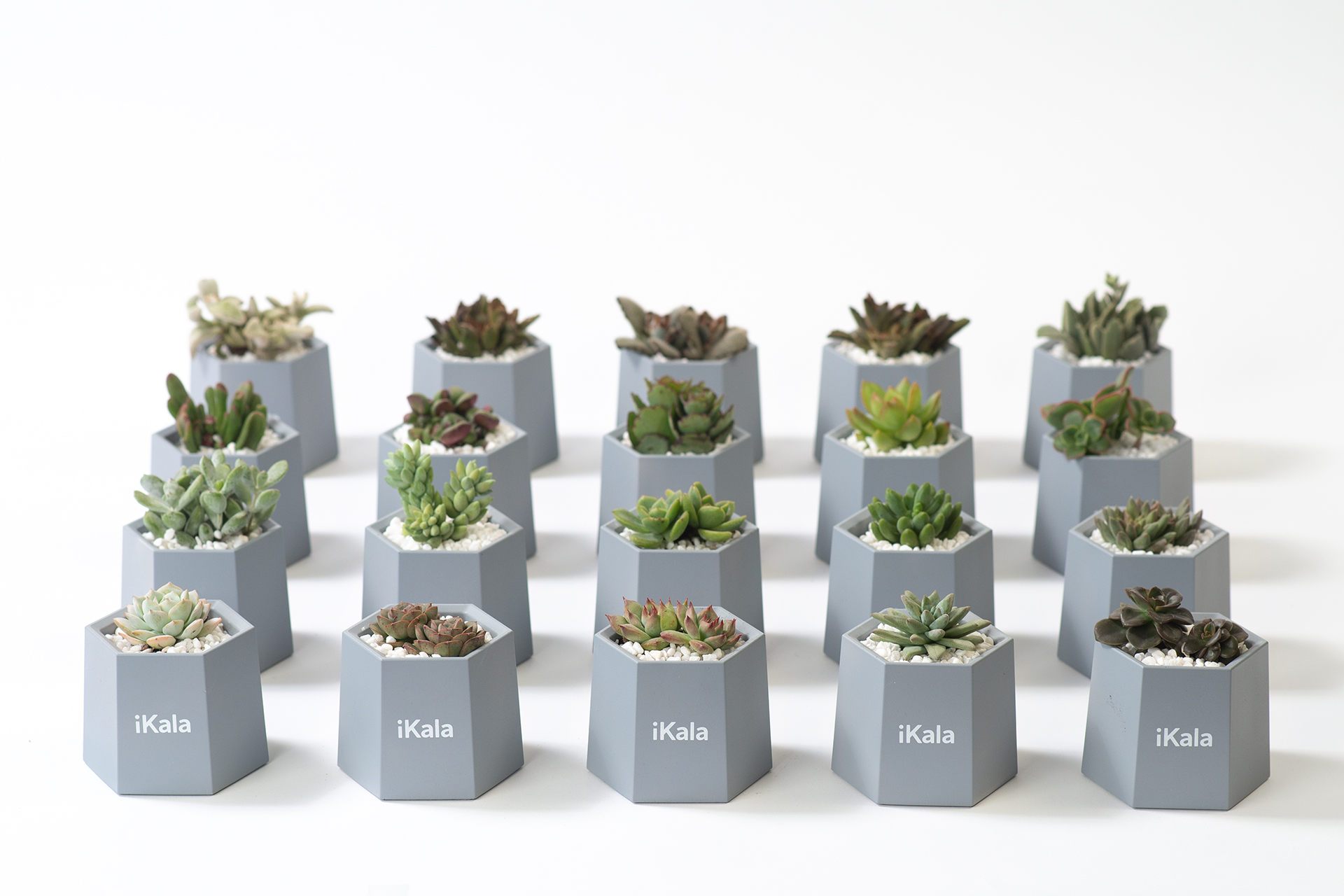 Go Green! 8 個企業禮品常見問題：交期、發票、價格一次全看懂 iKala 企業禮贈品活動用0