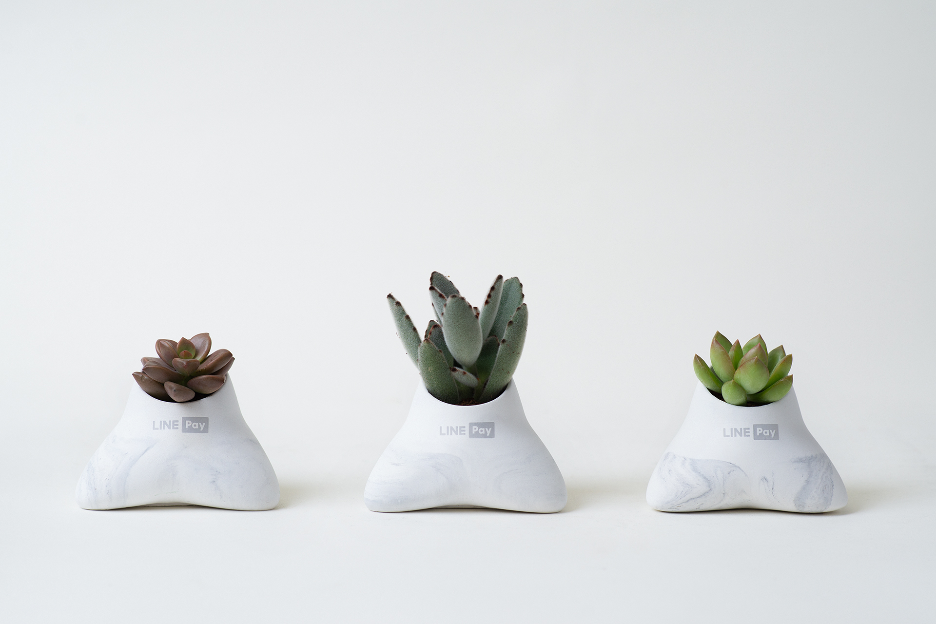 Go Green! 8 個企業禮品常見問題：交期、發票、價格一次全看懂 LINE pay 端午禮品5