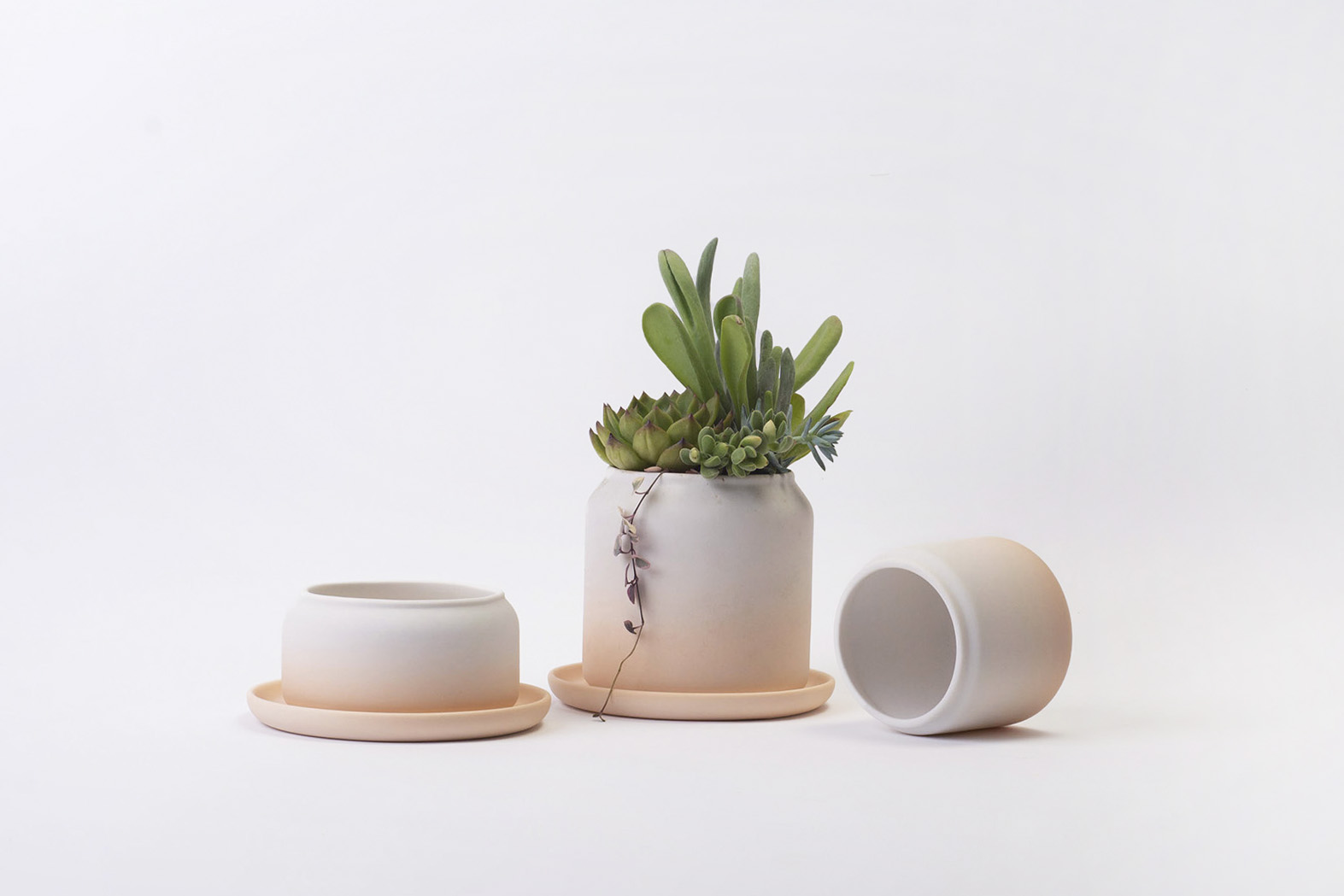 春色呈美 of之於漸層系列空盆0 拷貝