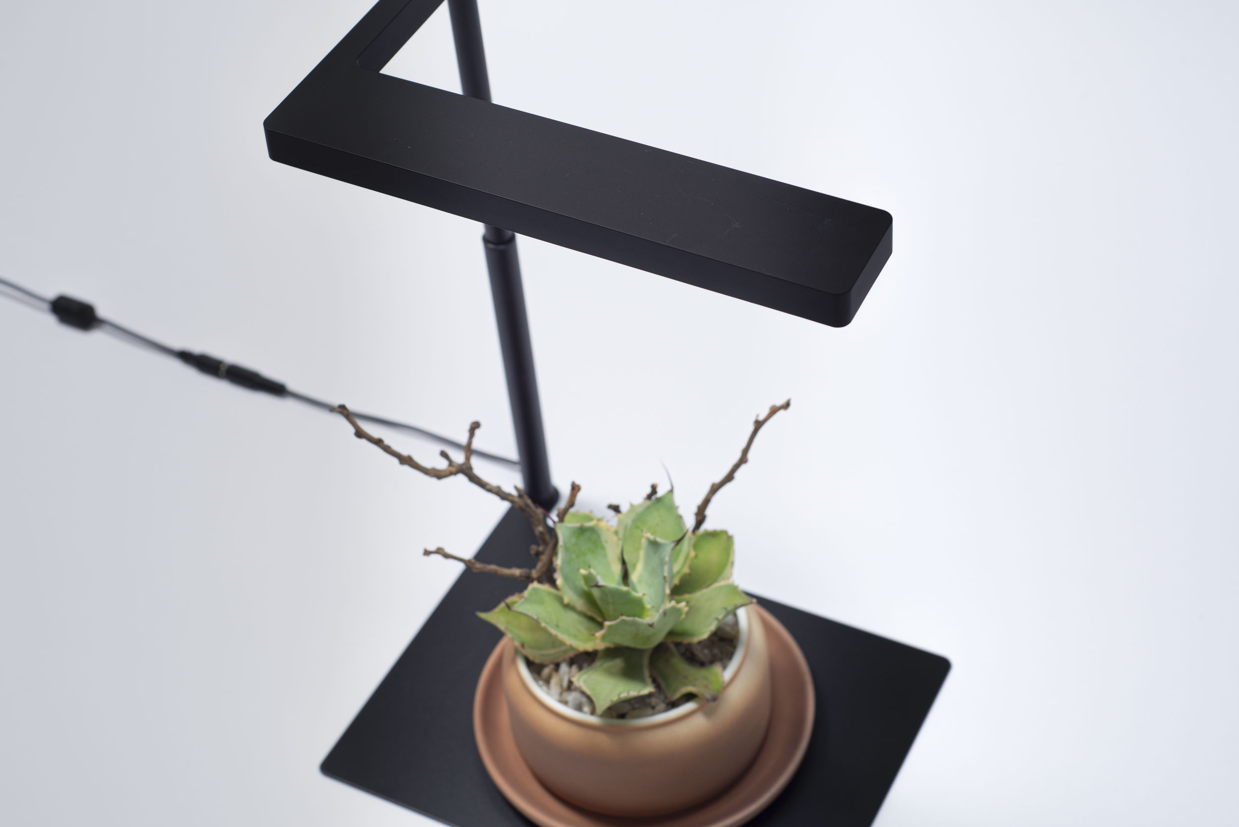 【完整教學】植物照顧終極指南 向黑手指說掰掰 ONF Flat 植物燈組（加多肉盆栽）8