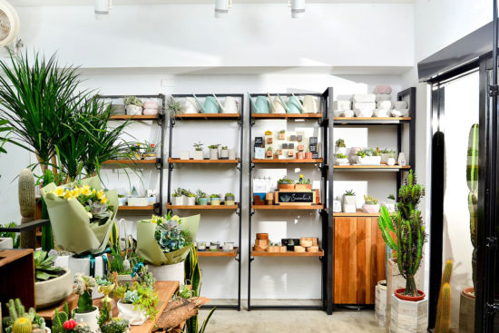 盆器導覽介紹活動