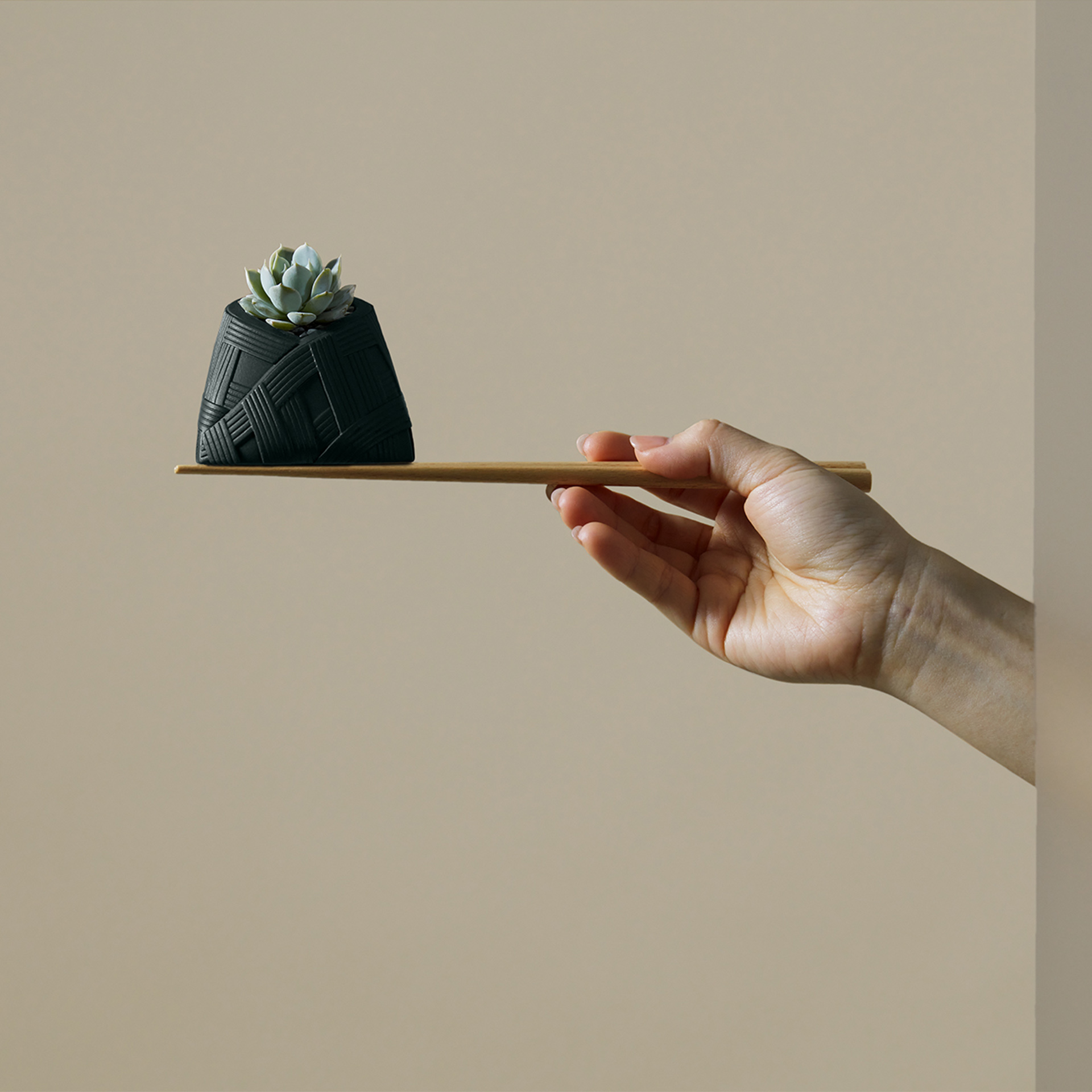 掀開蒸籠造型禮盒 植物粽＆花生糖粽，翻玩端午禮盒！ s2023 有肉端午禮盒 粽久久 李亭香＿綜合台派糕點＿粽子多肉盆栽16 拷貝