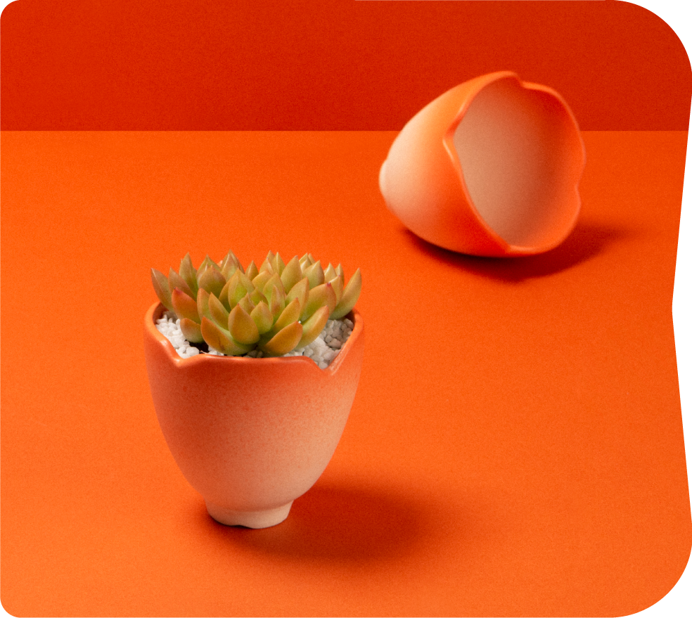 2024 春節禮盒介紹 | 龍舞、花語、烏魚子 圖3 1 1