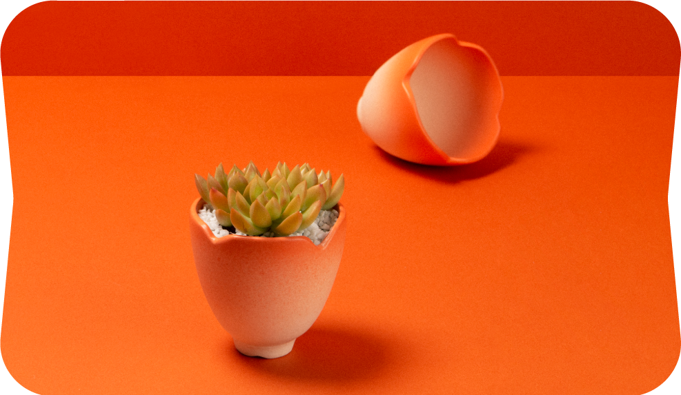 2024 春節禮盒介紹 | 龍舞、花語、烏魚子 圖3 2 1