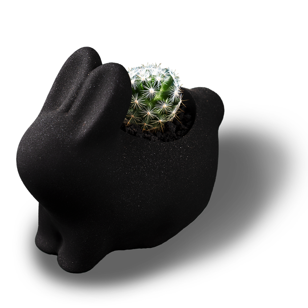 2021 年中秋植物禮盒 有肉介紹 27