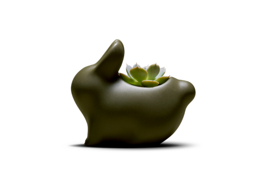 2023 中秋禮盒介紹 | 月兔與森林的交會 森林兔 去背part1