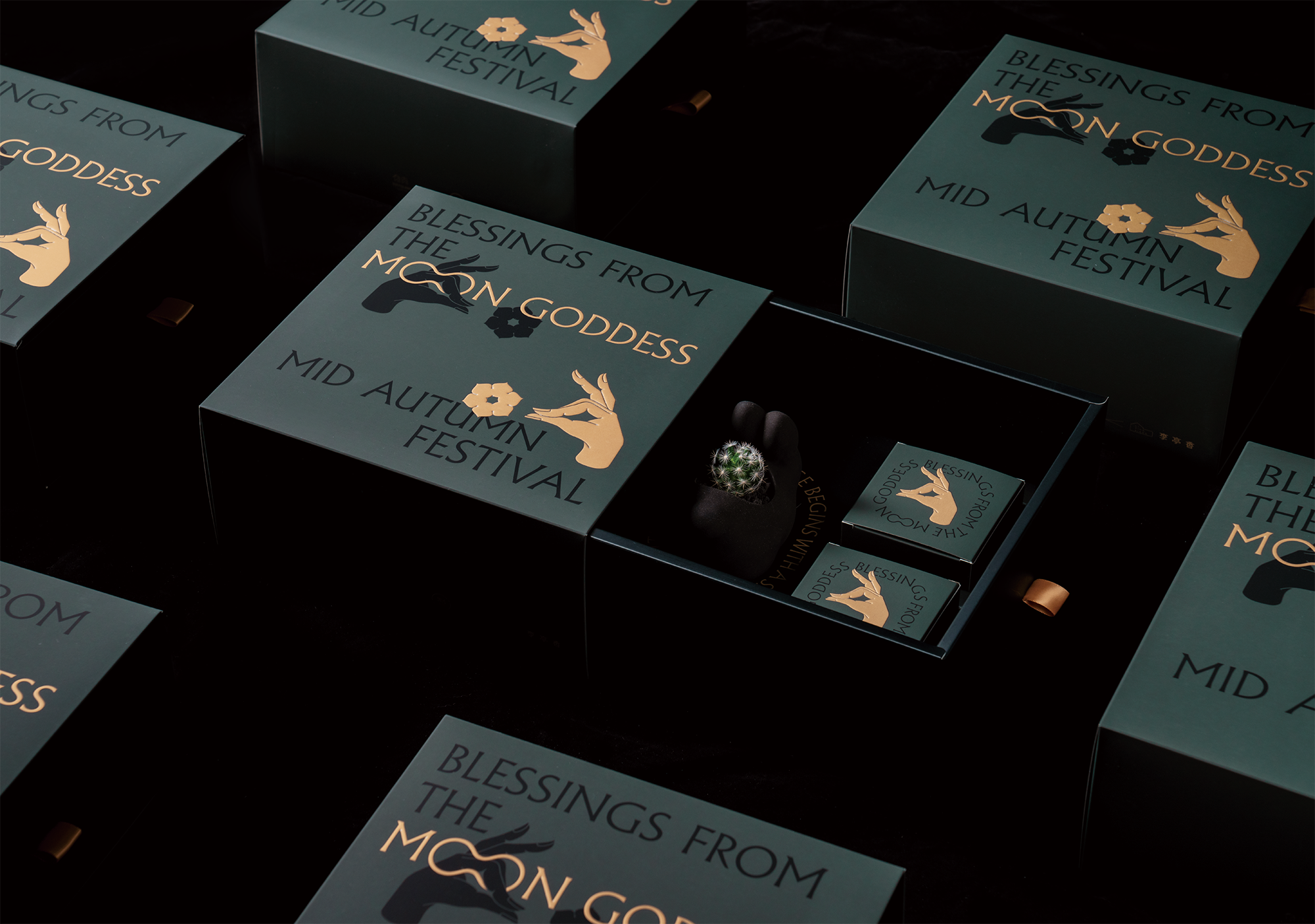 2021 年中秋植物禮盒 聯名禮盒介紹