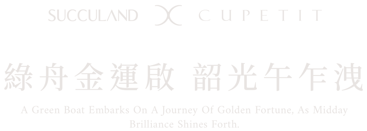 2025端午禮盒綠舟金運-端午標準字